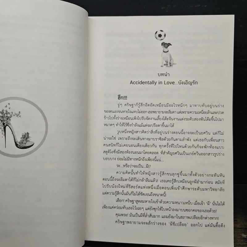 บังเอิญรัก - จอมรวินท์ รูปที่ 7