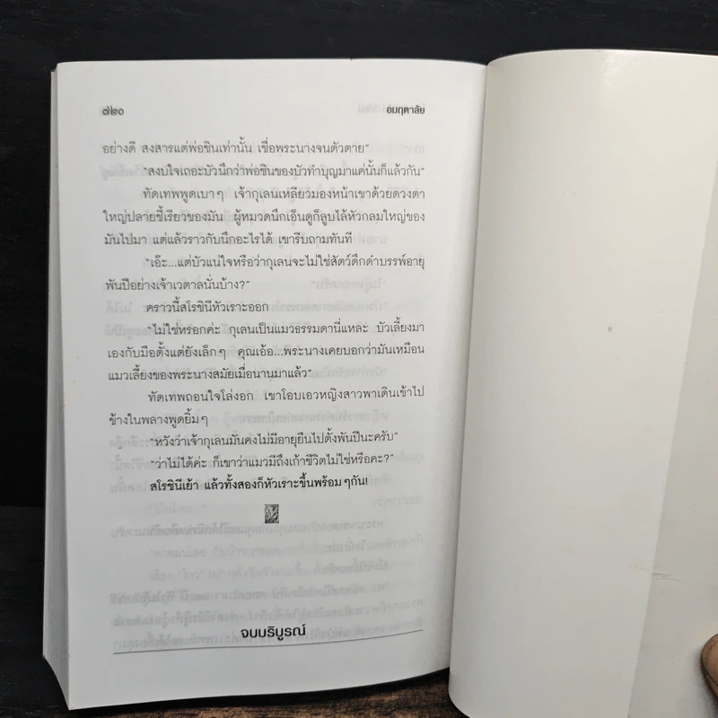อมฤตาลัย - จินตวีร์ วิวัธน์ รูปที่ 8