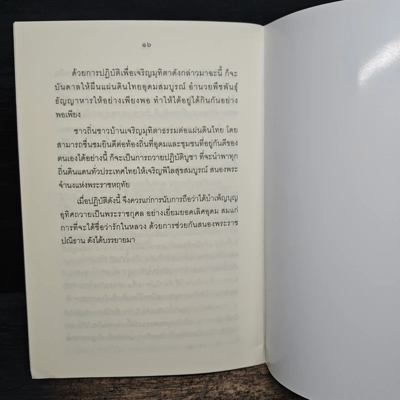 ทำอย่างไร จะพูดได้เต็มปากว่า เรารักในหลวง รูปที่ 7