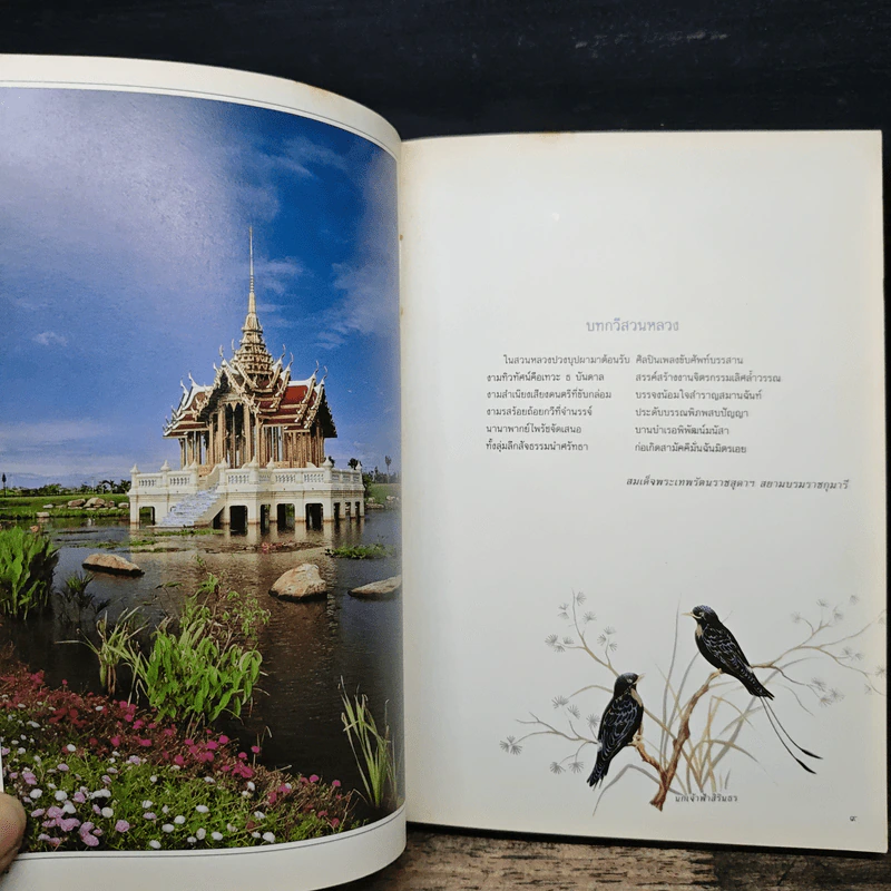สวนหลวงทิพย์กวี รูปที่ 7