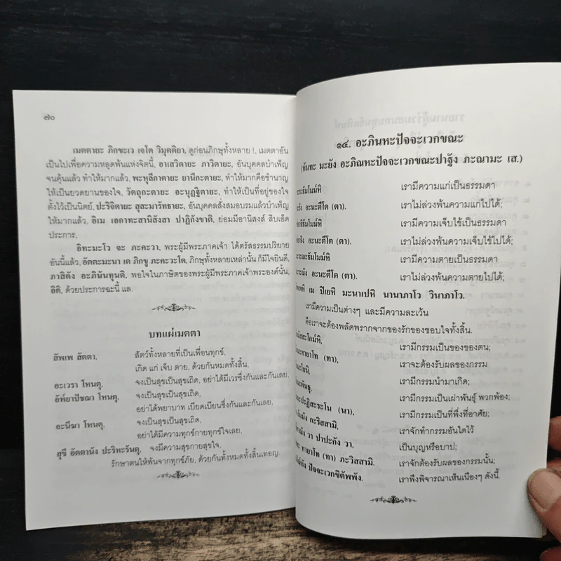 คู่มืออุบาสกอุบาสิกา บทสวดมนต์ทำวัตรเช้า-เย็น แปลไทย รูปที่ 9