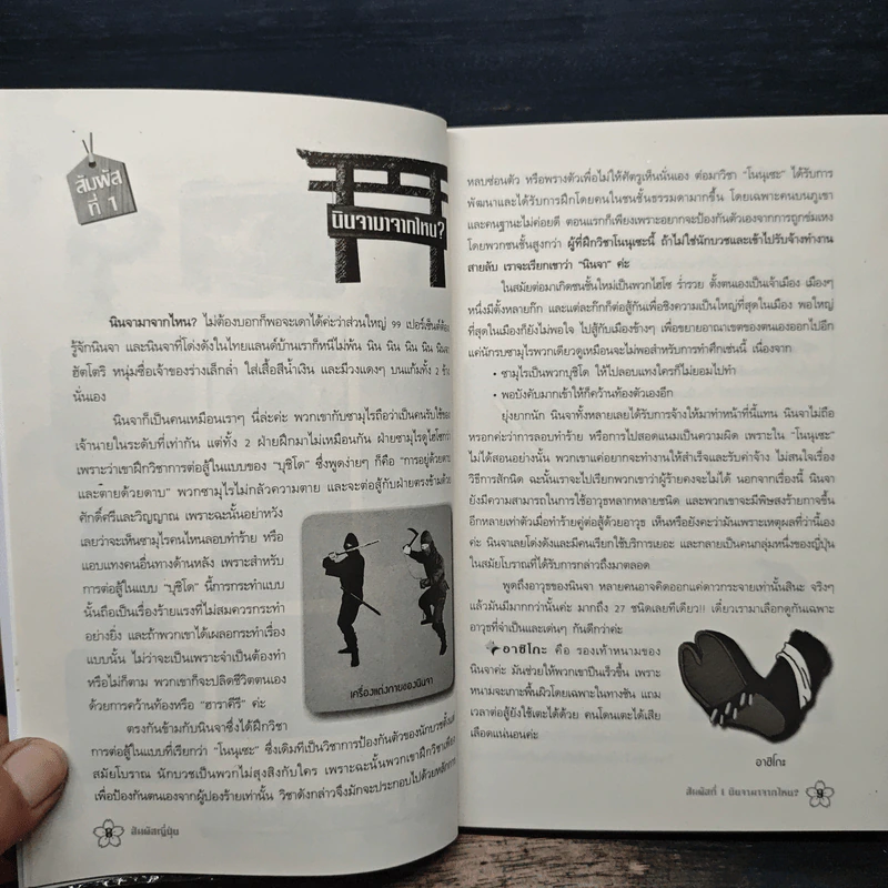สัมผัสญี่ปุ่น - รังสินี ไชยคุณ รูปที่ 8