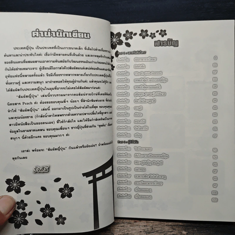สัมผัสญี่ปุ่น - รังสินี ไชยคุณ รูปที่ 6