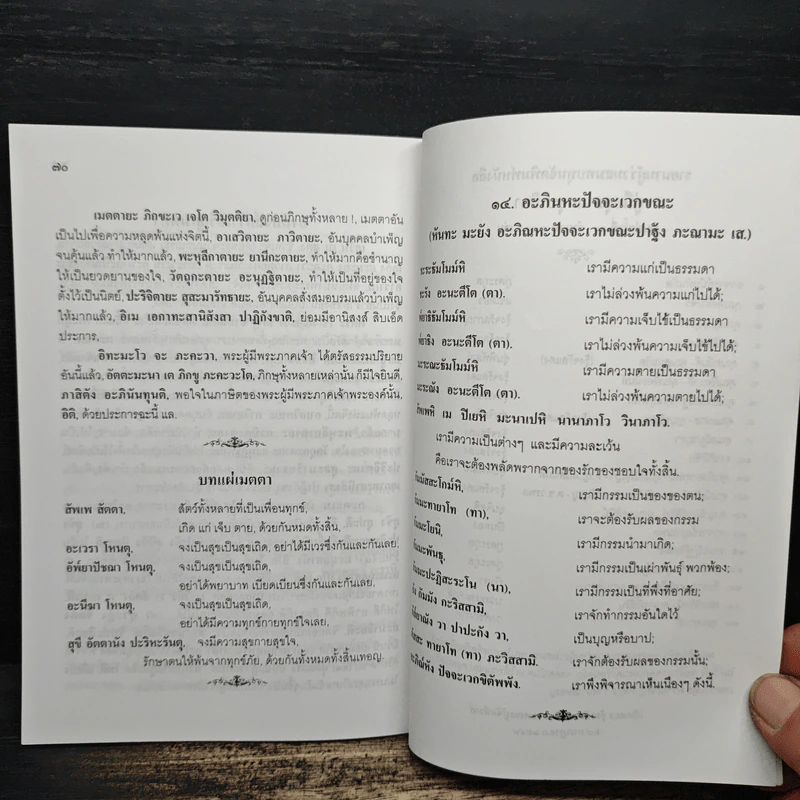 คู่มืออุบาสกอุบาสิกา บทสวดมนต์ทำวัตรเช้า-เย็น แปลไทย รูปที่ 9