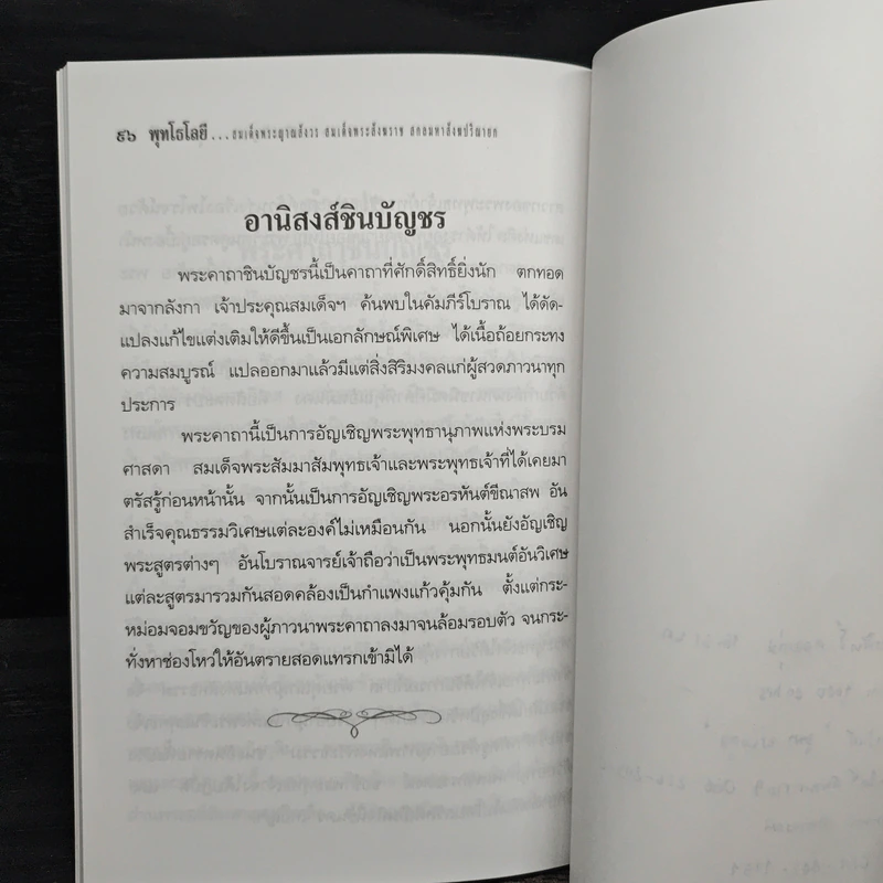 พุทโธโลยี มนุษยธรรม รูปที่ 8