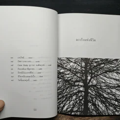มะเร็งแห่งชีวิต - สาทิส อินทรกำแหง รูปที่ 8