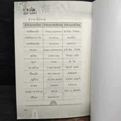 เกียวโต SO COOL - กาญจนา หงษ์ทอง รูปที่ 10