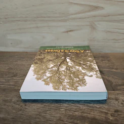 A Tree in a Forest - Venerable Ajahn Chah รูปที่ 4