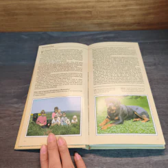 A Dog Owner's Guide to the Rottweiler - Joan Blackmore รูปที่ 7