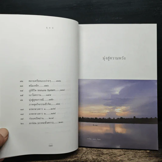 กูแน่ - สาทิส อินทรกำแหง รูปที่ 8