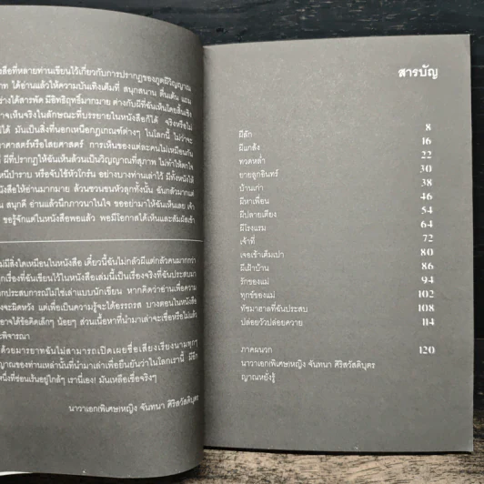 เห็นผี ประสบการณ์คนเห็นผีผ่านเจโตปริยญาณ - พลเรือตรีหญิง จันทนา ศิริสวัสดิบุตร รูปที่ 7
