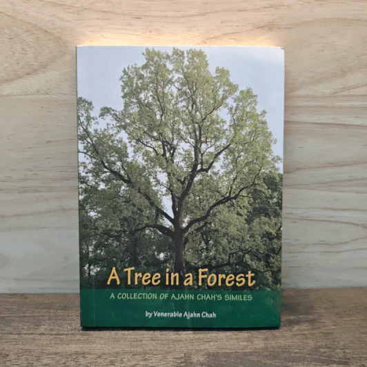 A Tree in a Forest - Venerable Ajahn Chah รูปที่ 1