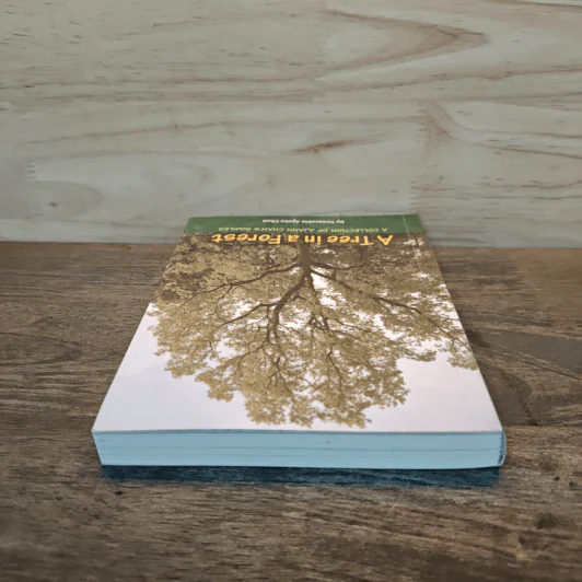 A Tree in a Forest - Venerable Ajahn Chah รูปที่ 4