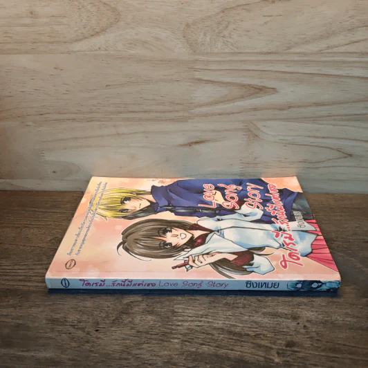 Love Song Story  โดเรมี...รักนี้มีแต่เธอ - ซิงเหมย รูปที่ 2