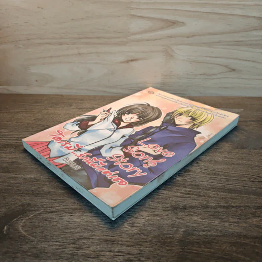 Love Song Story  โดเรมี...รักนี้มีแต่เธอ - ซิงเหมย รูปที่ 3