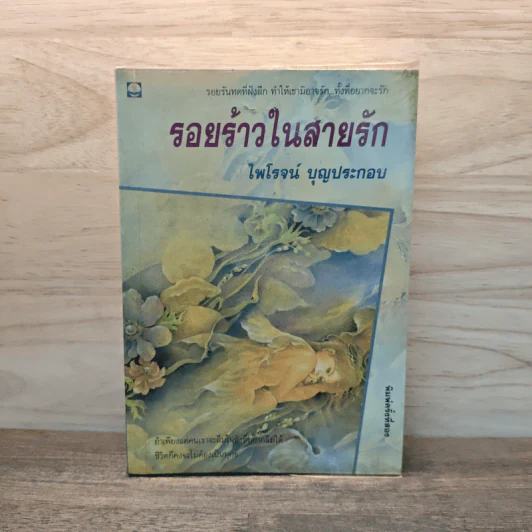 รอยร้าวในสายรัก - ไพโรจน์ บุญประกอบ รูปที่ 1