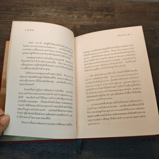 ปีกหัก The Broken Wing รูปที่ 8