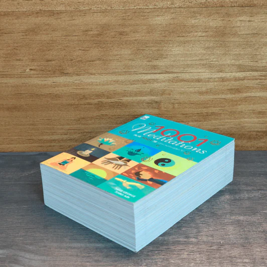 1001 Meditations สมาธิ 1001 วิธี รูปที่ 3