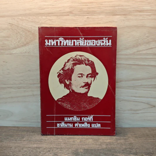 มหาวิทยาลัยของฉัน - แมกซิม กอร์กี้ รูปที่ 1