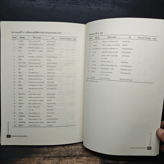 การเปลี่ยนแปลงของป่าธรรมชาติหลังสึนามิ รูปที่ 9