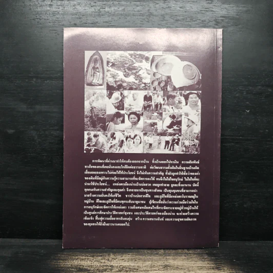 โบราณคดีชุมชนที่เมืองน่าน รูปที่ 2