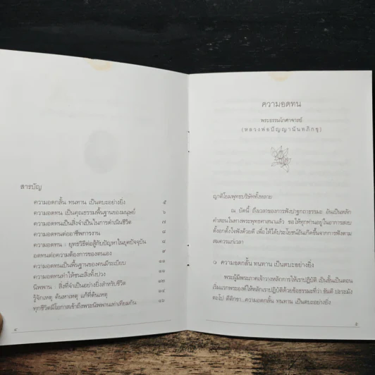 ความอดทน คุณธรรมพื้นฐานเพื่อความสำเร็จ - พระธรรมโกศาจารย์ (หลวงพ่อปัญญานันทภิกขุ) รูปที่ 7