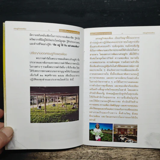 เศรษฐกิจพอเพียง ปรัชญาชี้ถึงแนวทางการดำรงชีวิต รูปที่ 7
