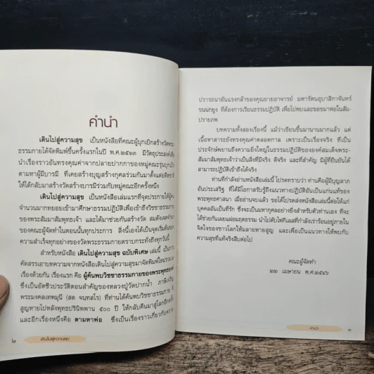 เดินไปสู่ความสุข รูปที่ 6