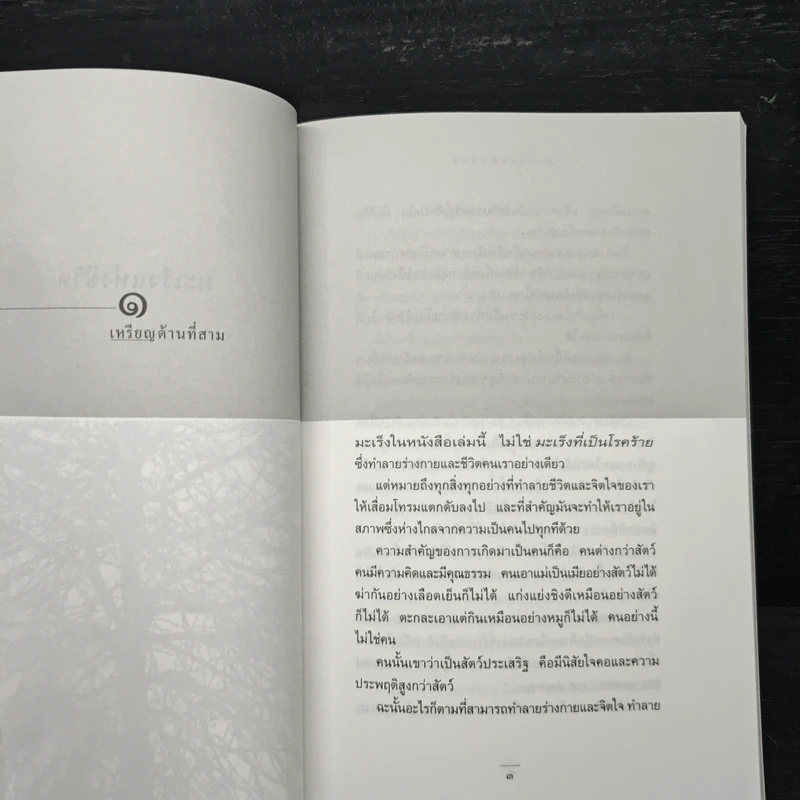 มะเร็งแห่งชีวิต - สาทิส อินทรกำแหง รูปที่ 9