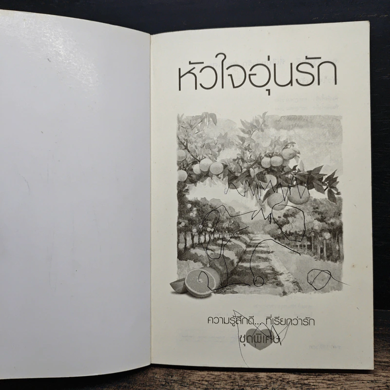 หัวใจอุ่นรัก - เกรซ รูปที่ 6