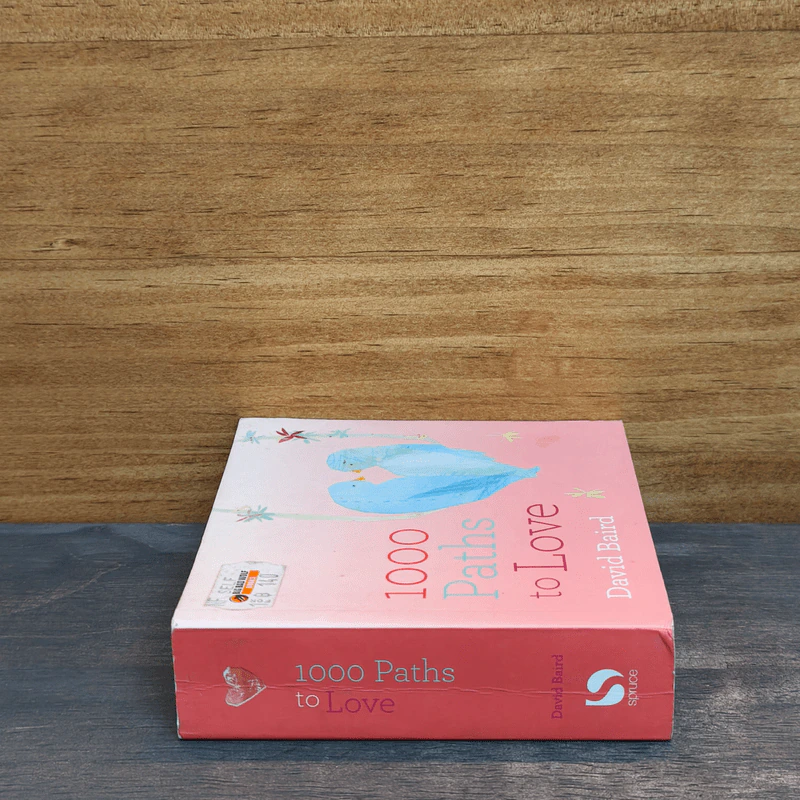 1000 Paths to Love - David Baird รูปที่ 2