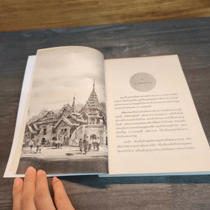 ความหลัง เรื่องราวในอดีตสมัยพุทธกาลและก่อนพุทธกาล - อ.วศิน อินทสระ รูปที่ 8
