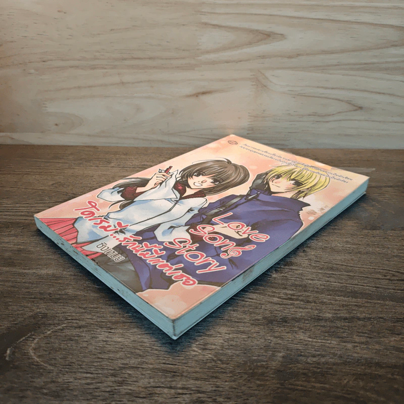 Love Song Story  โดเรมี...รักนี้มีแต่เธอ - ซิงเหมย รูปที่ 3