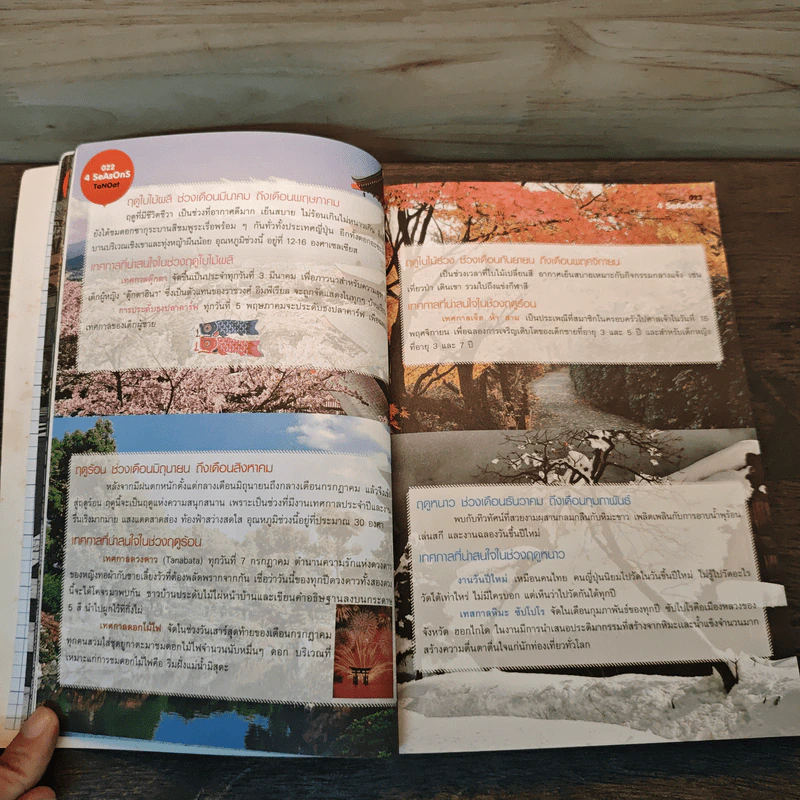 ฮิกาซีน ฉบับพิเศษ เกาะดม ชมโตเกียว รูปที่ 7