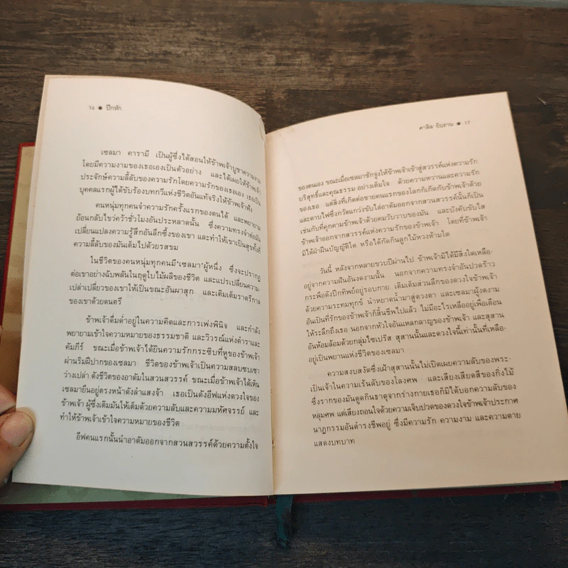ปีกหัก The Broken Wing รูปที่ 8