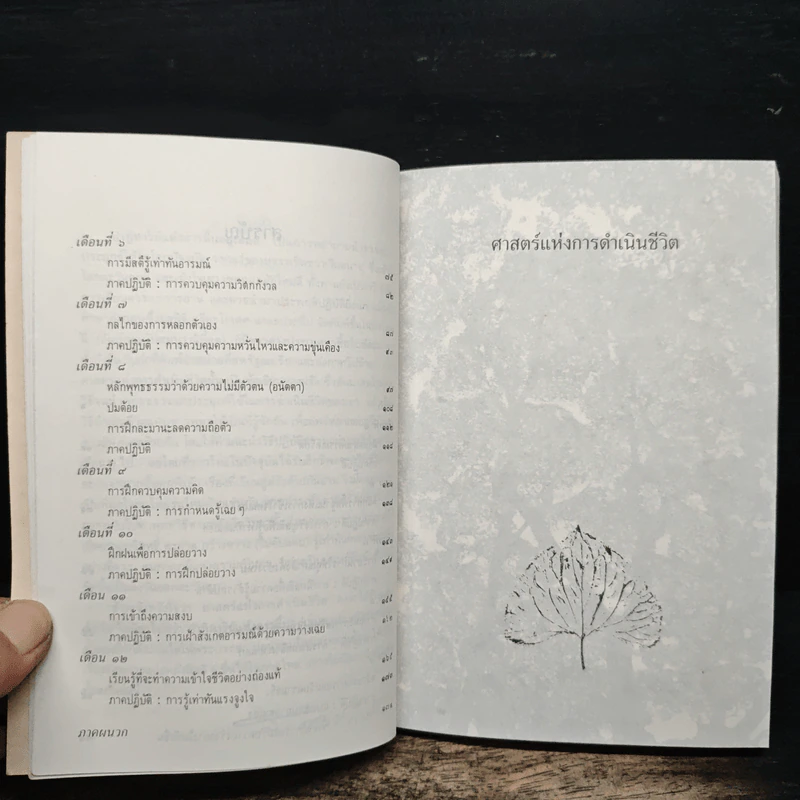 ศาสตร์แห่งการดำเนินชีวิต - เลียวนาร์ด เอ บุลเลน รูปที่ 8