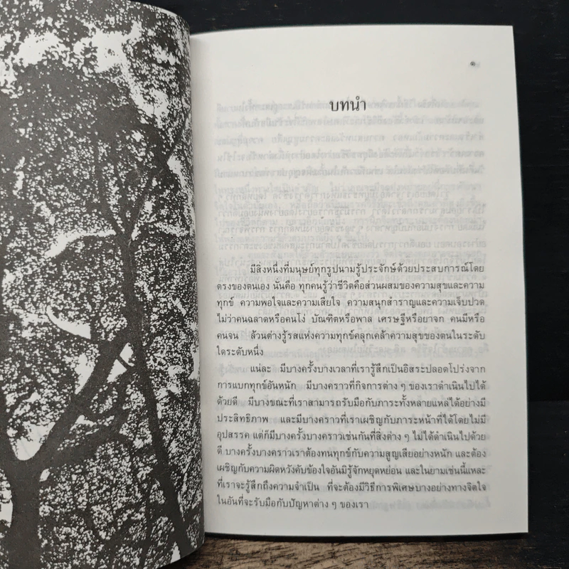 ศาสตร์แห่งการดำเนินชีวิต - เลียวนาร์ด เอ บุลเลน รูปที่ 9