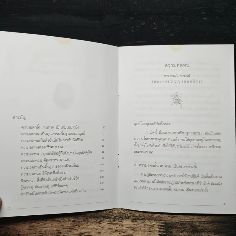 ความอดทน คุณธรรมพื้นฐานเพื่อความสำเร็จ - พระธรรมโกศาจารย์ (หลวงพ่อปัญญานันทภิกขุ) รูปที่ 7