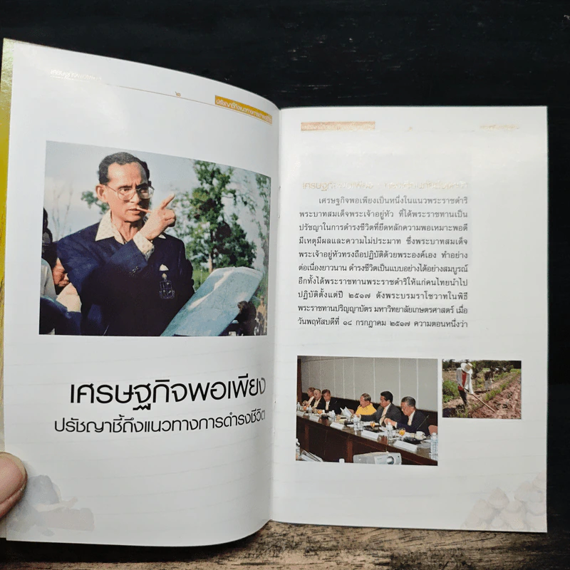 เศรษฐกิจพอเพียง ปรัชญาชี้ถึงแนวทางการดำรงชีวิต รูปที่ 6