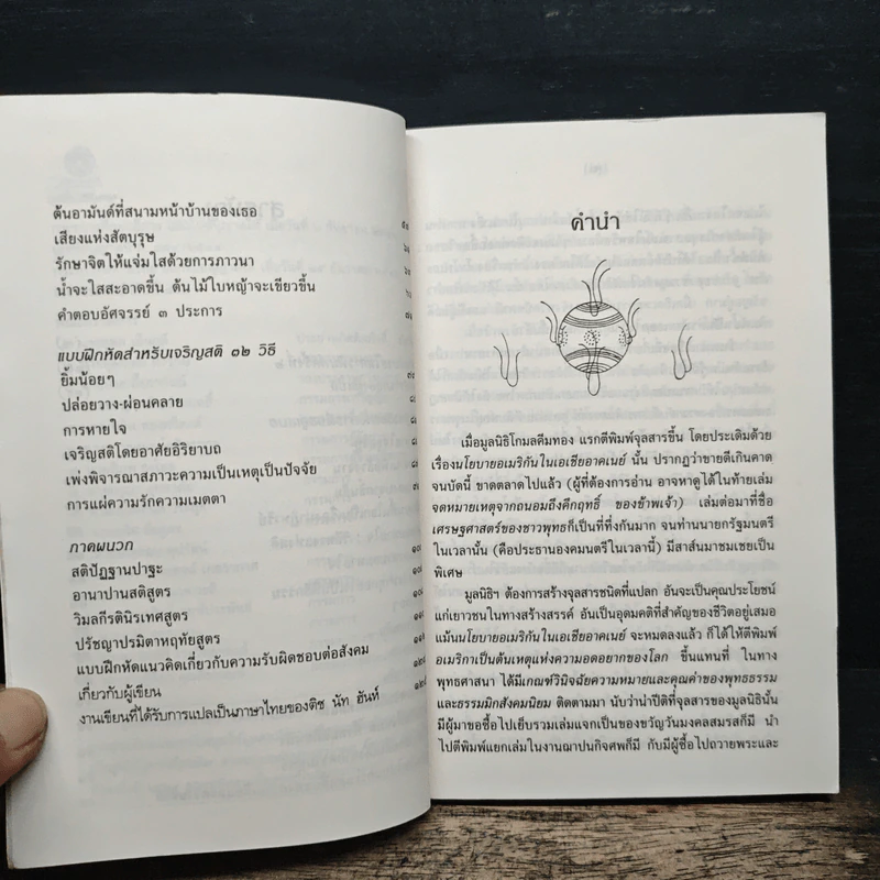 ปาฏิหาริย์แห่งการตื่นอยู่เสมอ - ติช นัท ฮันห์ รูปที่ 8