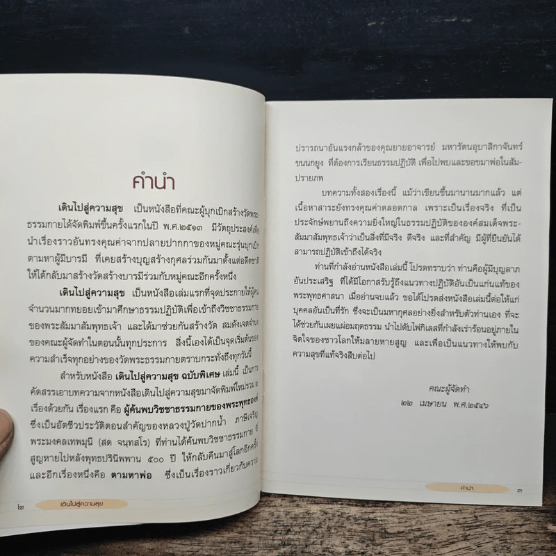 เดินไปสู่ความสุข รูปที่ 6