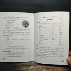 ย่านาง สมุนไพรมหัศจรรย์ - ใจเพชร มีทรัพย์ (หมอเขียว) รูปที่ 8