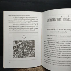 ศิลปะการตัดแต่งกิ่งไม้ผล รูปที่ 8