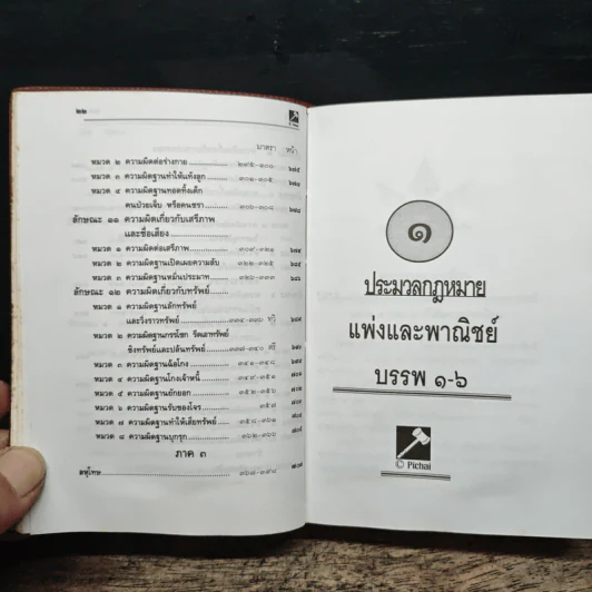 ประมวลกฎหมาย แพ่งและพาณิชย์ บรรพ 1-6 อาญา แก้ไขเพิ่มเติม ฉบับสมบูรณ์ - พิชัย นิลทองคำ รูปที่ 17