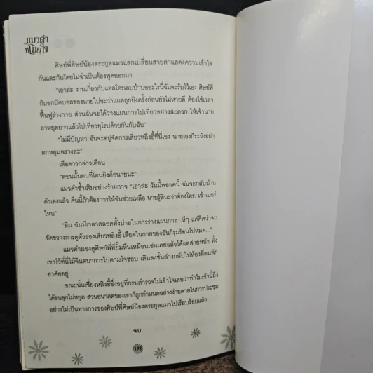 แมวดำขโมยใจ - Lin Pei รูปที่ 8