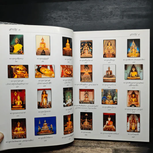 พระพุทธรูป คู่บ้านคู่เมือง - วรนันทน์ ชัชวาลทิพากร รูปที่ 8