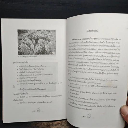 คัมภีร์สยบความจน ขยายพันธุ์ไม้เชิงธุรกิจ - ทิว มะลิทอง รูปที่ 9