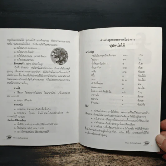 ย่านาง สมุนไพรมหัศจรรย์ - ใจเพชร มีทรัพย์ (หมอเขียว) รูปที่ 8