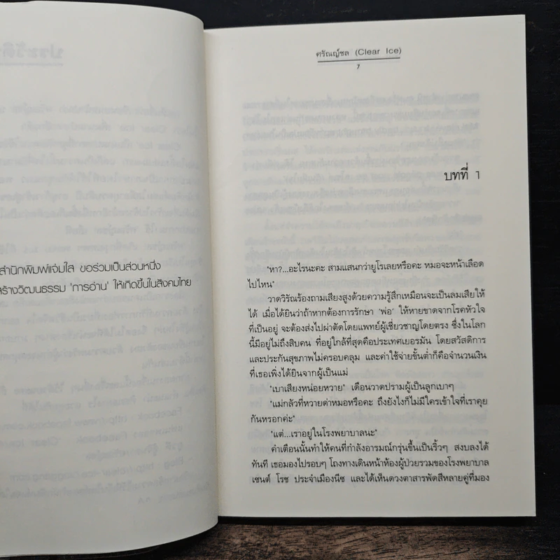 ระบำรัก - ศรัณญ์ชล (Clear Ice) รูปที่ 7