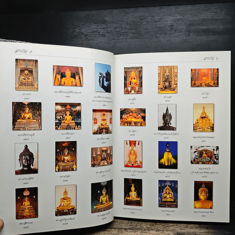 พระพุทธรูป คู่บ้านคู่เมือง - วรนันทน์ ชัชวาลทิพากร รูปที่ 9
